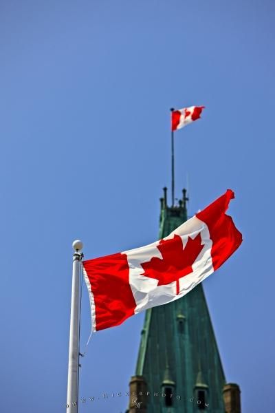 Canada’s 2021 Budget: The CLA’s Response