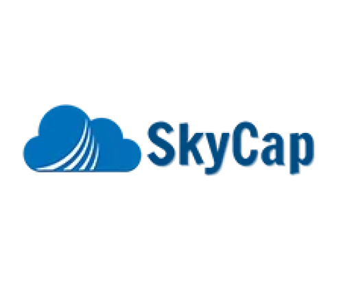 Skycap